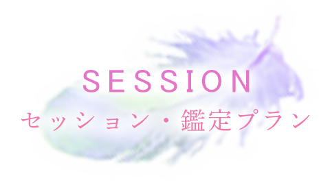 SESSION セッション・鑑定プラン